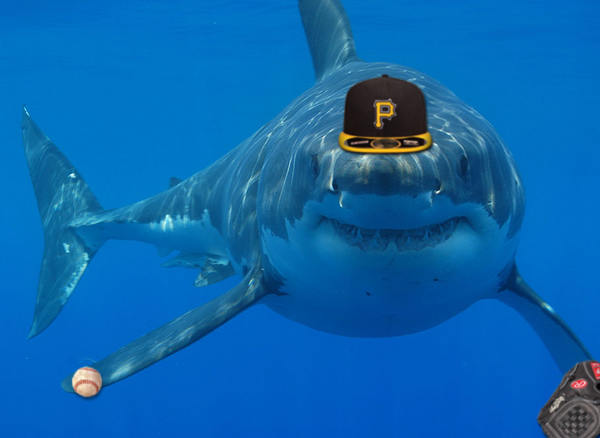 great white shark baseball